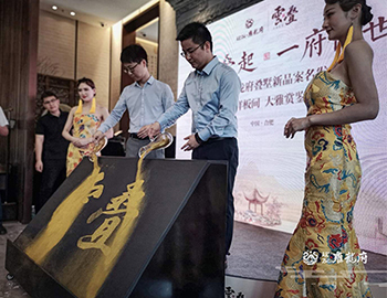 【建發(fā)·雍龍府】萬(wàn)象城旁，6米層高疊墅驗(yàn)資首日人氣完爆世界杯開幕式！??！ 